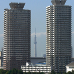 アクアシティお台場からみたスカイツリー
